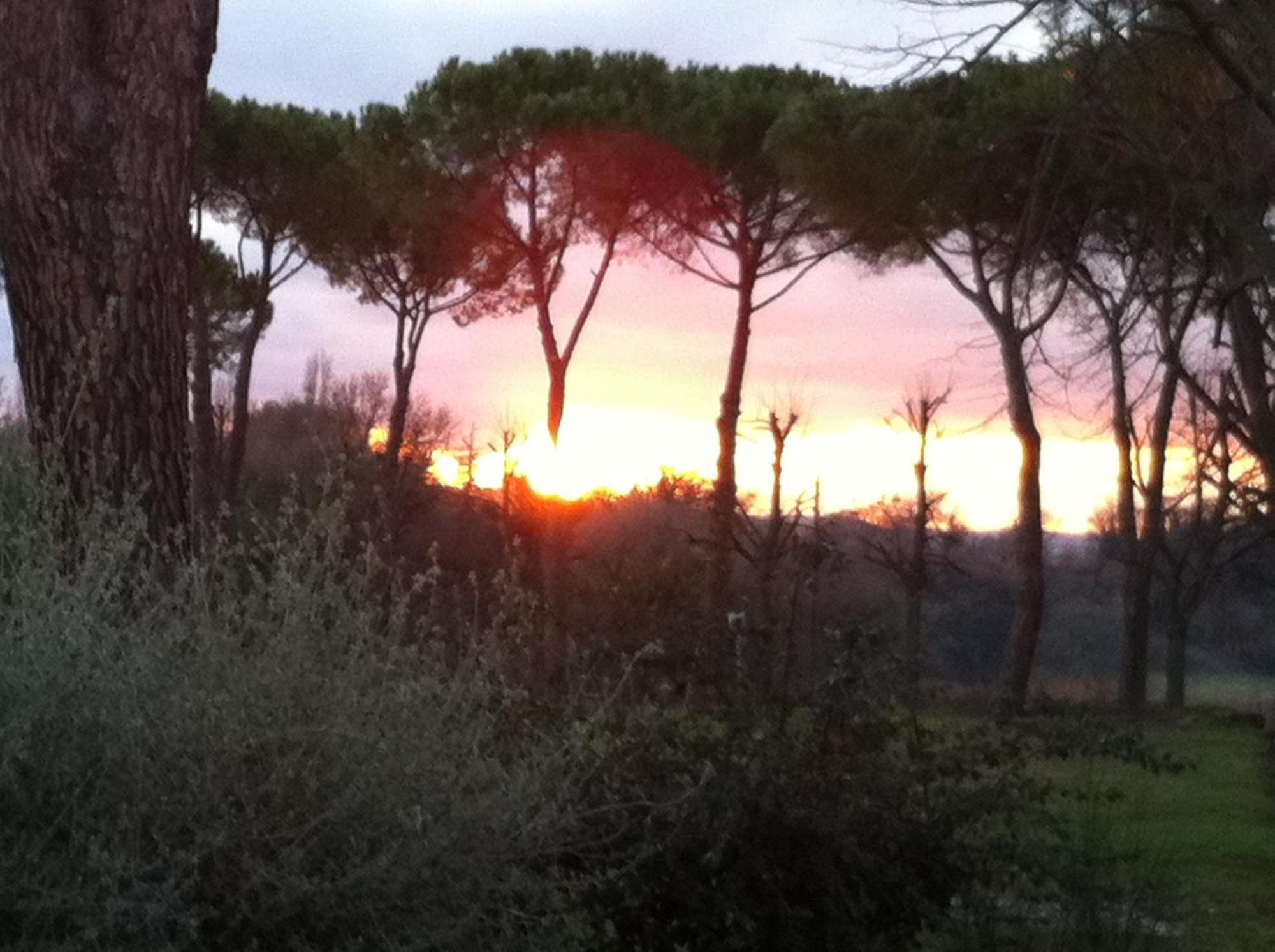 Villa Acquaviva Wine Resort مونتيميرانو المظهر الخارجي الصورة