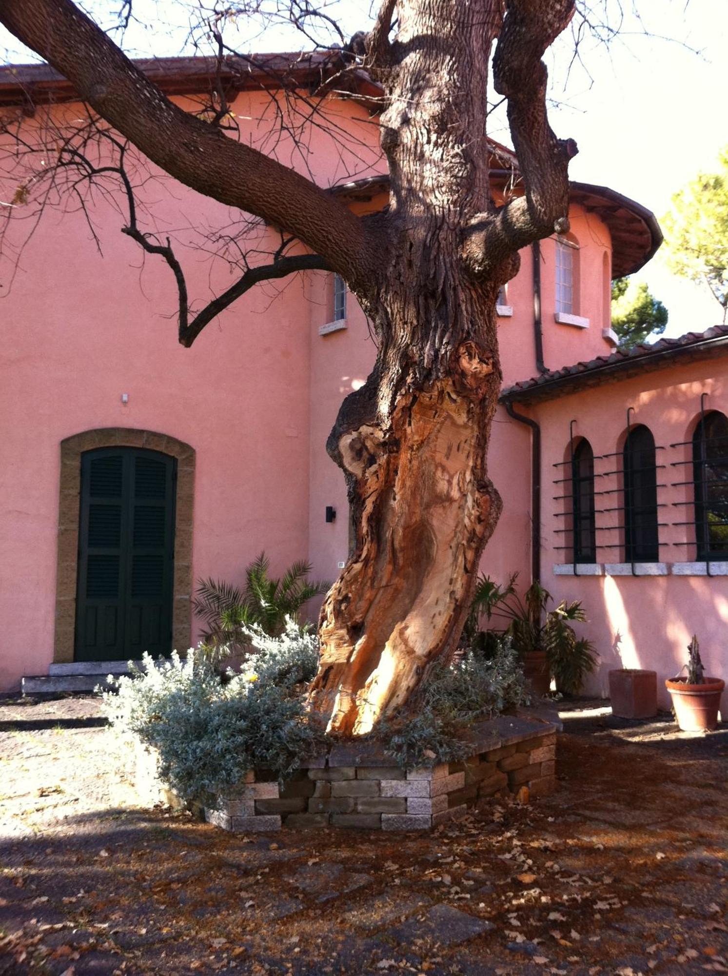Villa Acquaviva Wine Resort مونتيميرانو المظهر الخارجي الصورة