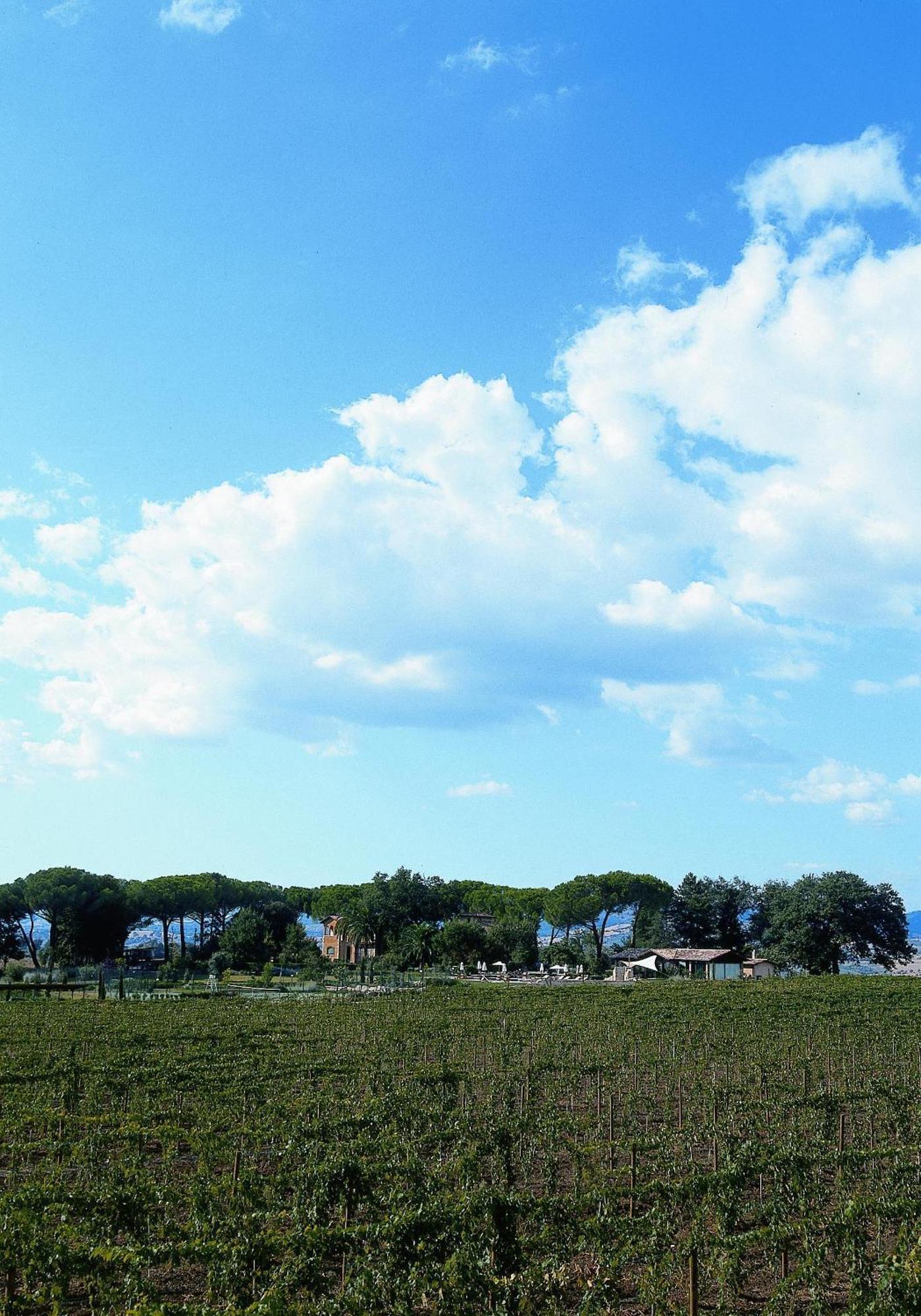 Villa Acquaviva Wine Resort مونتيميرانو المظهر الخارجي الصورة