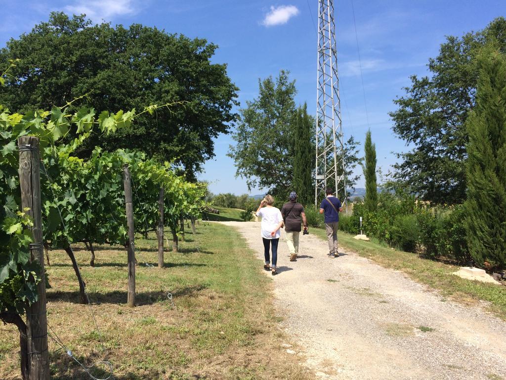 Villa Acquaviva Wine Resort مونتيميرانو المظهر الخارجي الصورة