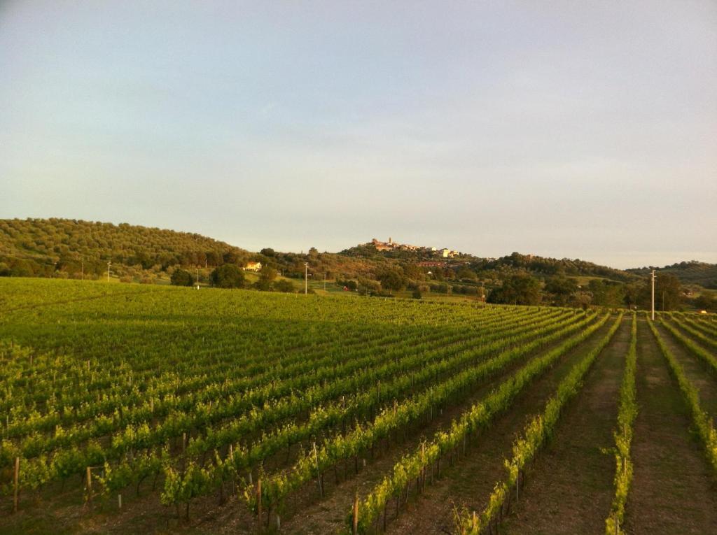 Villa Acquaviva Wine Resort مونتيميرانو المظهر الخارجي الصورة